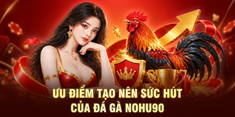 Ưu điểm tạo nên sức hút của đá gà NOHU90