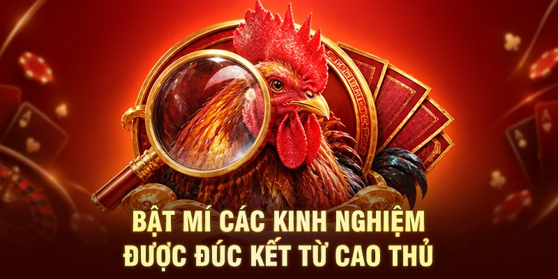 Bật mí các kinh nghiệm được đúc kết từ cao thủ 