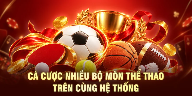 Cá cược nhiều bộ môn thể thao trên cùng hệ thống