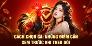 Cách Chọn Gà: Những Điểm Cần Xem Trước Khi Theo Dõi