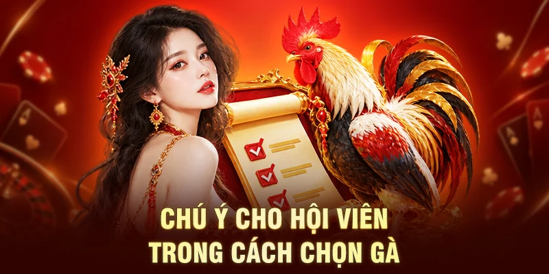 Chú ý cho hội viên trong cách chọn gà