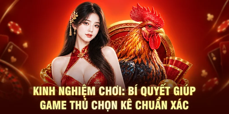 Kinh Nghiệm Chơi: Bí Quyết Giúp Game Thủ Chọn Kê Chuẩn Xác